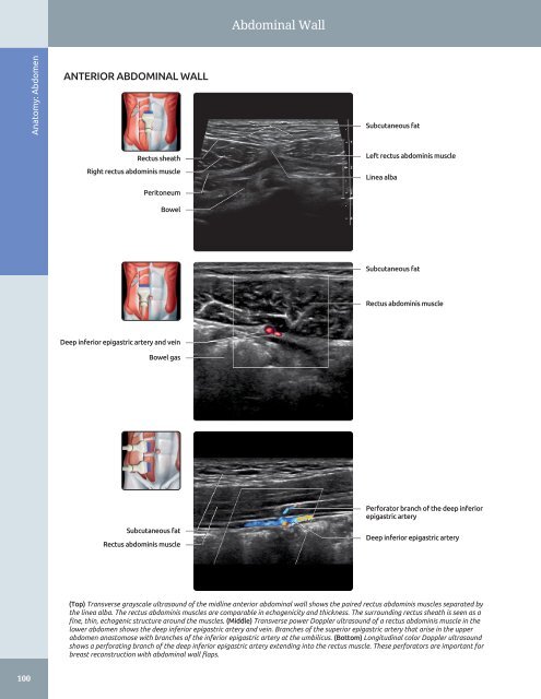 Diagnostic Ultrasound - Abdomen and Pelvis