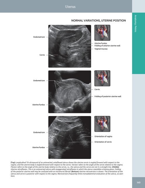 Diagnostic Ultrasound - Abdomen and Pelvis