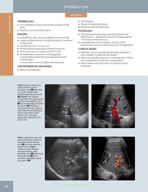 Diagnostic Ultrasound - Abdomen and Pelvis