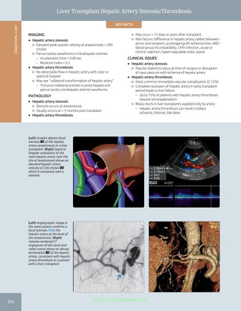 Diagnostic Ultrasound - Abdomen and Pelvis