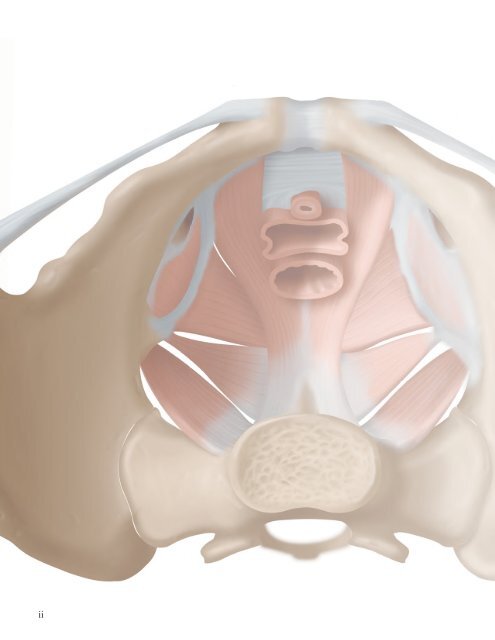 Diagnostic Ultrasound - Abdomen and Pelvis