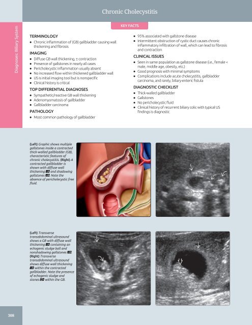 Diagnostic Ultrasound - Abdomen and Pelvis