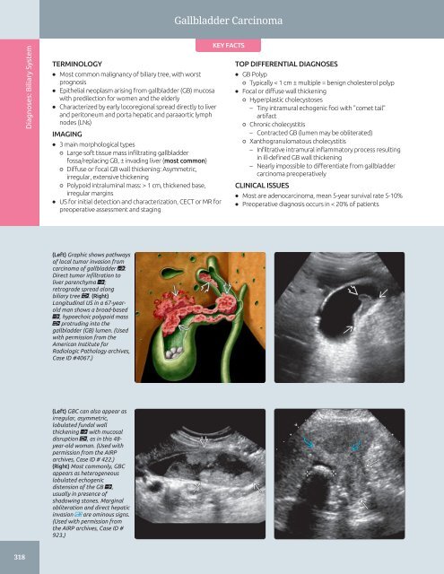 Diagnostic Ultrasound - Abdomen and Pelvis