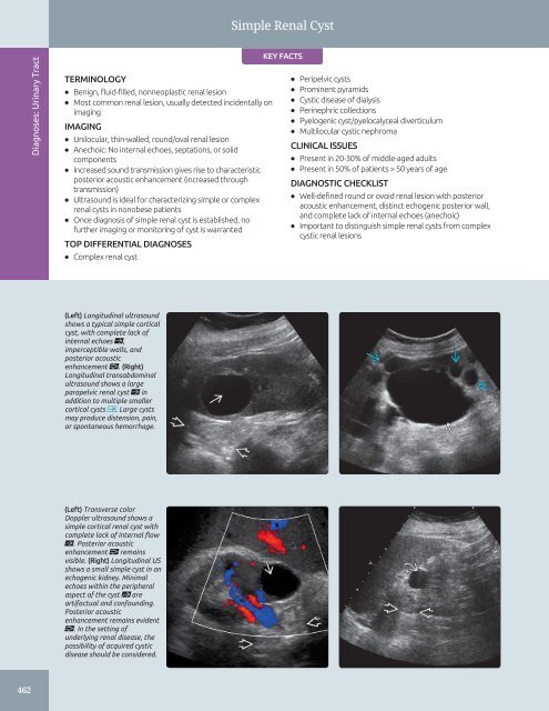 Diagnostic Ultrasound - Abdomen and Pelvis