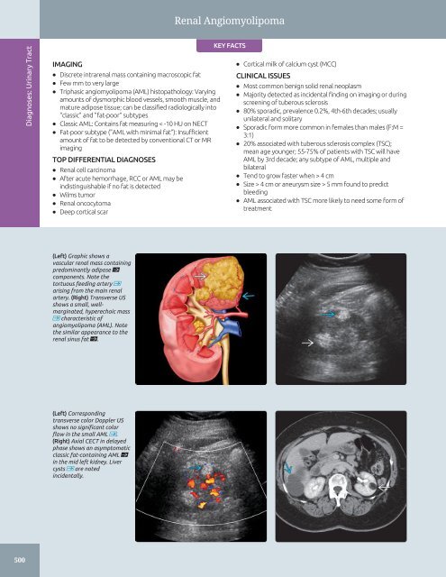 Diagnostic Ultrasound - Abdomen and Pelvis