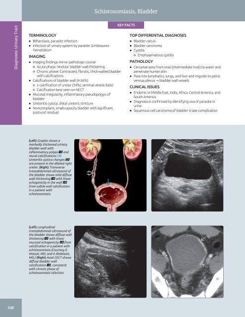 Diagnostic Ultrasound - Abdomen and Pelvis