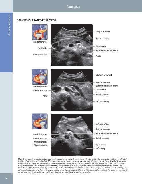 Diagnostic Ultrasound - Abdomen and Pelvis