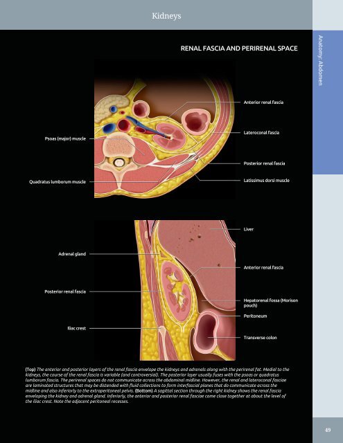 Diagnostic Ultrasound - Abdomen and Pelvis