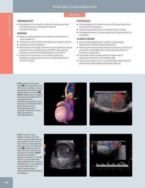 Diagnostic Ultrasound - Abdomen and Pelvis