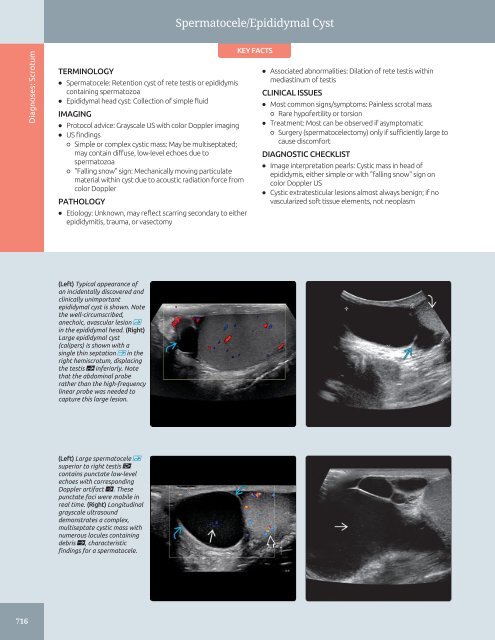 Diagnostic Ultrasound - Abdomen and Pelvis