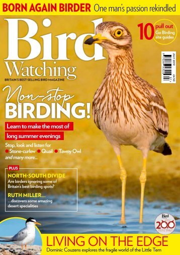 Bird Watching July PDF