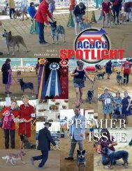 ACDCUSpotlight Vol 1 Issue 1