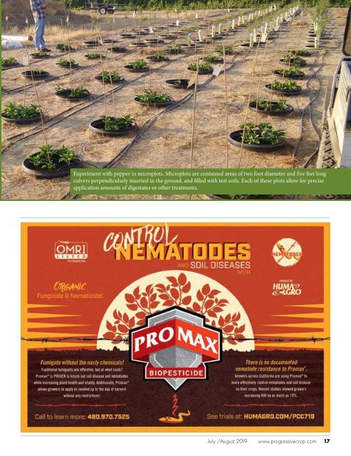 Progressive Crop Consultant July/August 2019