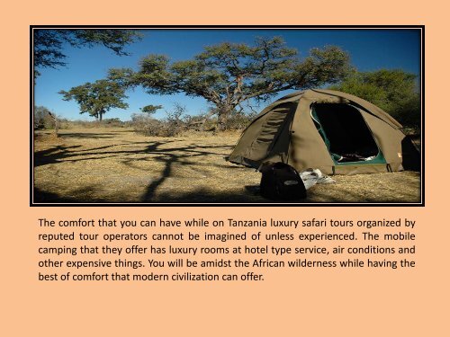 Why Select Tanzania Luxury Safari Tours