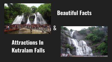 Beautiful facts and attractions in Kutralam falls