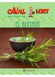 CAVALL HORT 5 - EL ROMANI