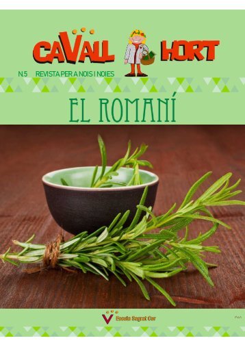 CAVALL HORT 5 - EL ROMANI