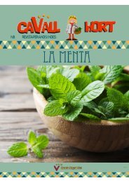 CAVALL HORT 8 - LA MENTA