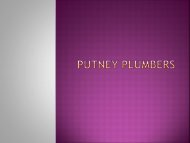 Putney Plumbers-pdf