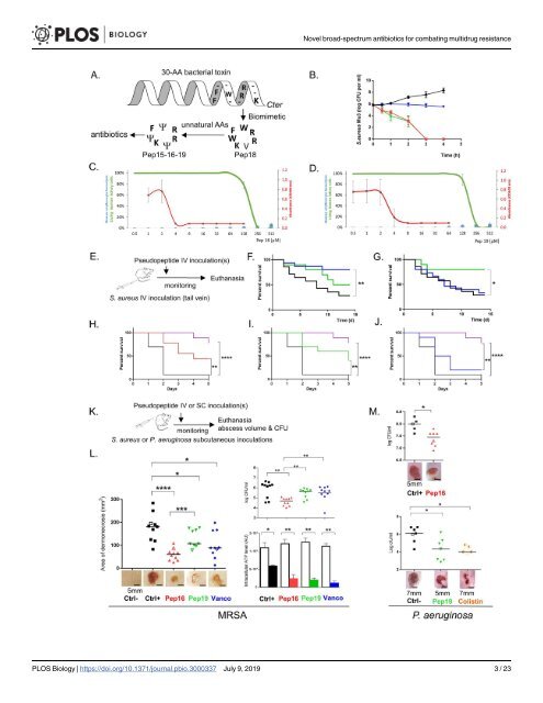 Novel antibiotics effective against grampositive and -negative multi-resistant bacteria with limited resistance