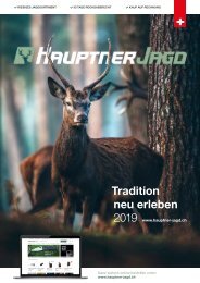 puma vereinskatalog 2019