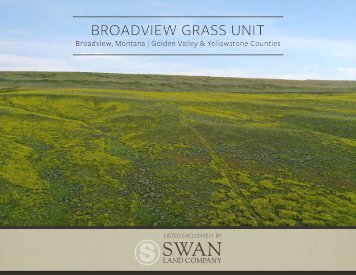 BROADVIEW GRASS UNIT Offering Brochure 