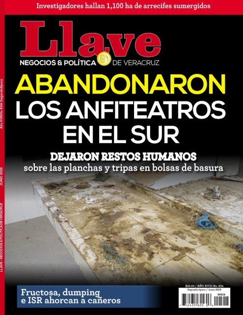 Revista Llave