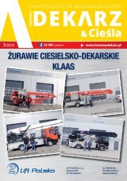 Fachowy Dekarz & Cieśla 2019/3