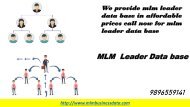 Mlm business data how to Business  Network marketing