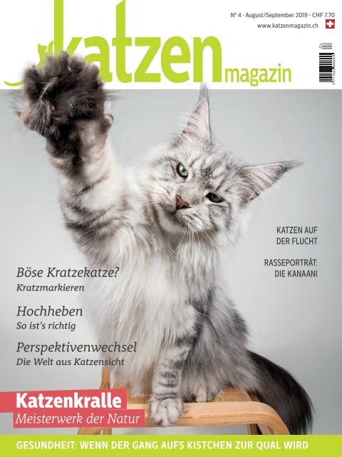 Katzen Magazin 4/19