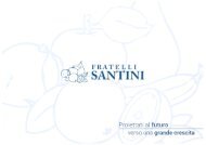 FLLI SANTINI SRL - Azzano San Paolo (Bg)