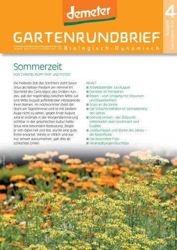 GR_04 2019-Ausschnitt