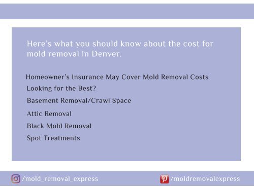 Cost of Removing Mold