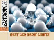 Best LED Grow Lights