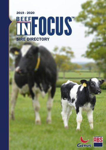1699 Beef InFocus Directory 2019-20