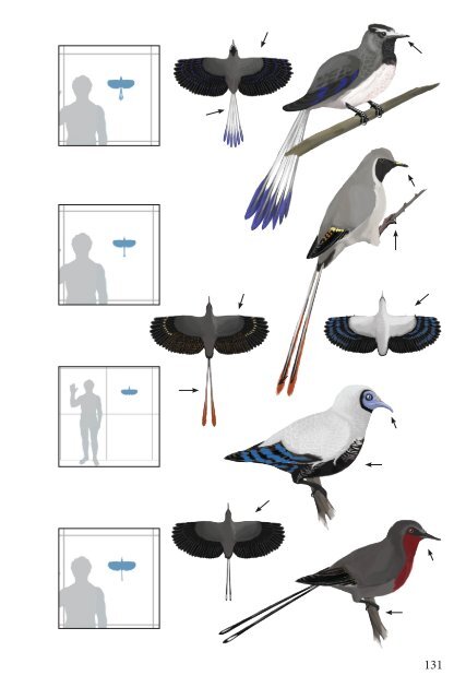 A field guide to mesozoic birds and other winged dinosaurs