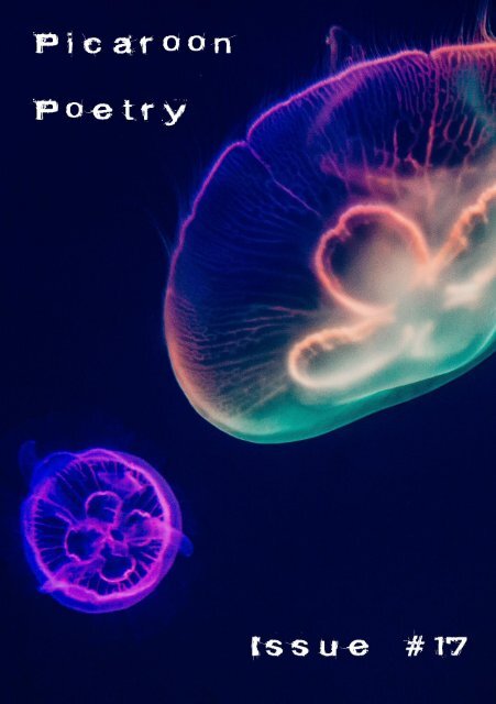 Picaroon Poetry - Issue #17 - July 2019
