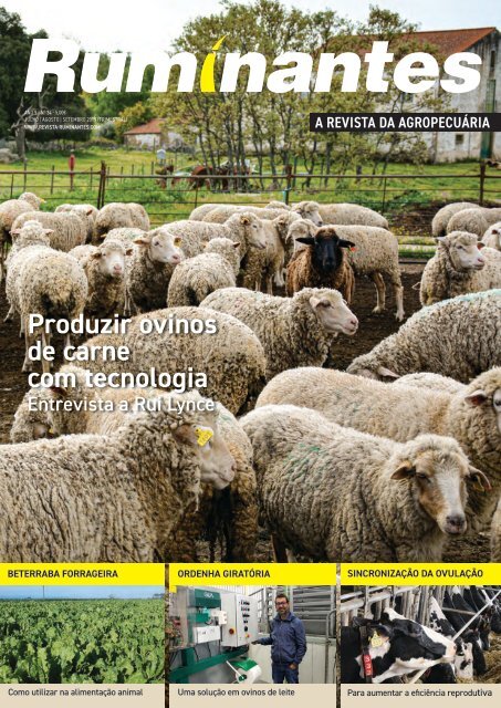 Revista Ruminates Sheep Auto Drafter