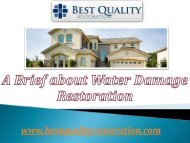 Brief About Water Damage Restoration