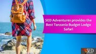 SED Adventures provides the Best Tanzania Budget Lodge Safari