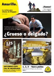 Amarillo. La revista de los clientes de Klingspor Edición 1|2018 