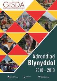 adroddiad cymraeg