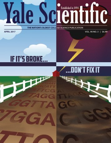 YSM Issue 90.3