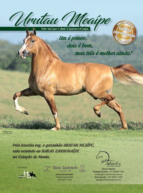 Revista TOP Marchador #59