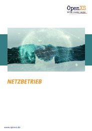 Netzbetrieb