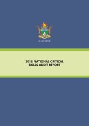 2018 National Critical Skills Audit Report