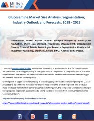 Glucosamine Market Size Analysis, Segmentation, Industry Outlook and Forecasts, 2018 - 2023