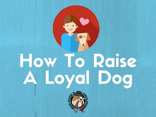 How To Raise A Loyal Dog