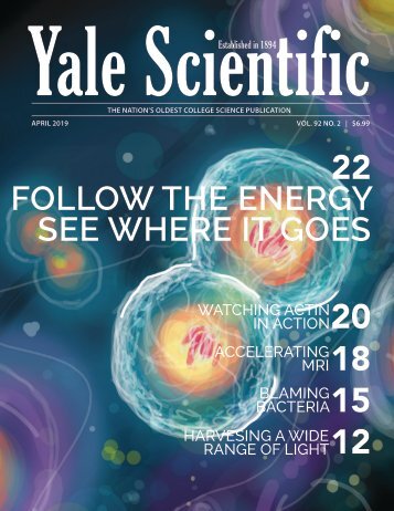 YSM Issue 92.2