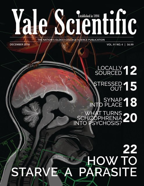 YSM Issue 91.4